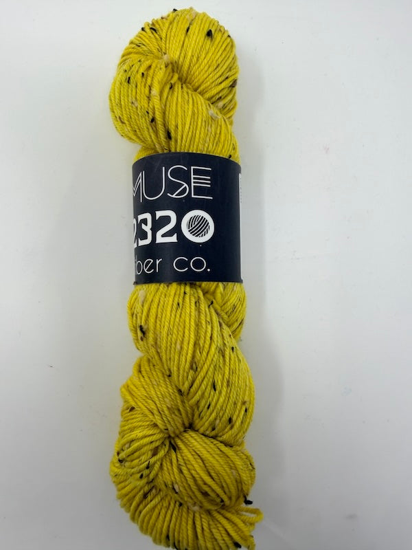 Weaver Bird