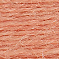 Eco Vita Wool Thread