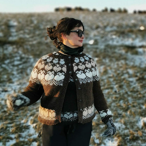 From Start to Steek - Colorwork Cardigan Made Easy